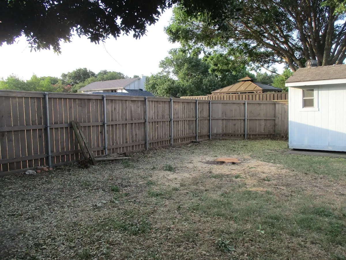 Cleared yard after professional tree removal in Forest